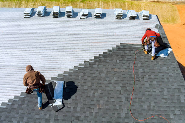 Best Gutter Installation and Repair  in Folkston, GA